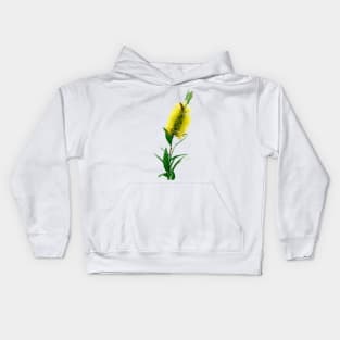 Bottlebrush Flower - Australian Native Florals Kids Hoodie